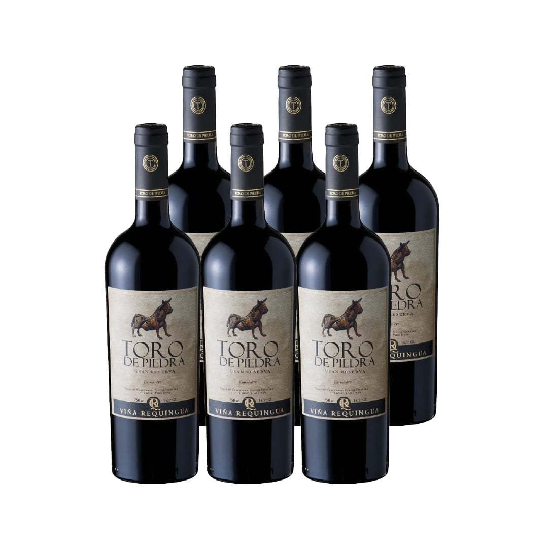 VINO TINTO CARMENERE TORO DE PIEDRA BOTELLA VIDRIO 750 CC 6 UN GRAN RESERVA 14.5° - 1