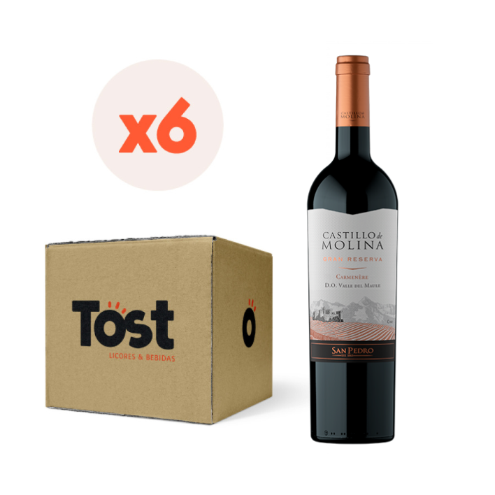 VINO TINTO CABERNET SAUVIGNON CASTILLO DE MOLINA BOTELLA VIDRIO 750 CC 6 UN GRAN RESERVA 14° - 1