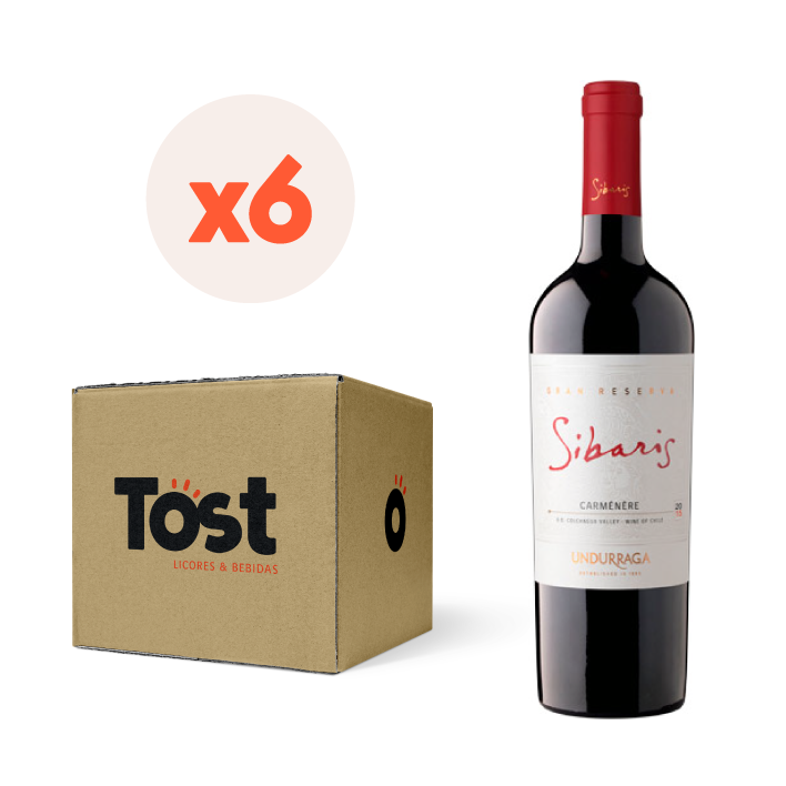 VINO TINTO CARMENERE UNDURRAGA BOTELLA VIDRIO 750 CC 6 UN SIBARIS GRAN RESERVA 14° - 1
