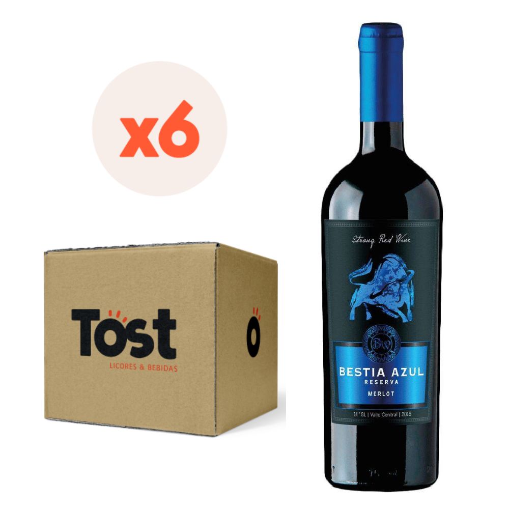 VINO TINTO MERLOT BESTIA WINES BOTELLA VIDRIO 750 CC 6 UN AZUL RESERVA SUPERIOR 14° - 3