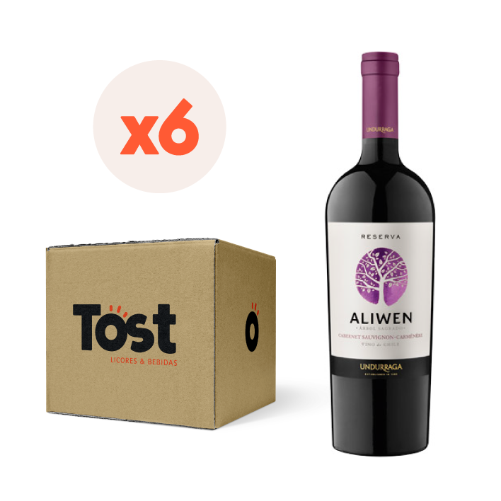 VINO TINTO MERLOT UNDURRAGA BOTELLA VIDRIO 750 CC 6 UN ALIWEN RESERVA 14° - 1
