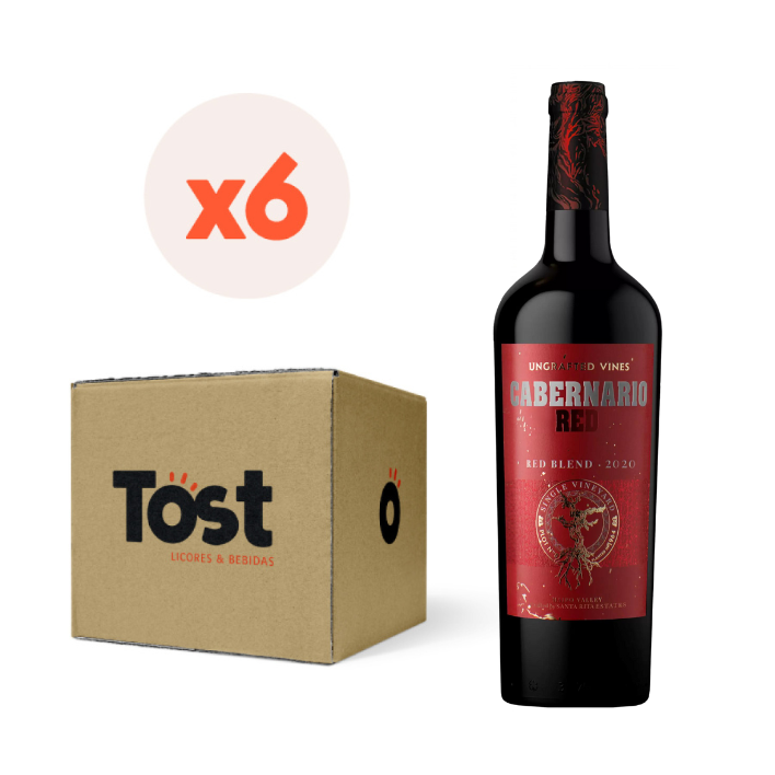 6X VINO SANTA RITA CABERNARIO RED BLEND 13,5° 750CC - 1