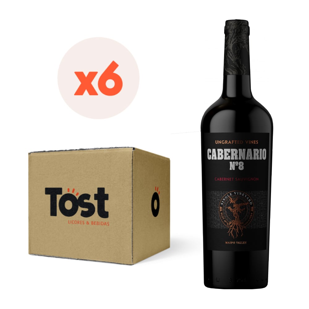 6X VINO SANTA RITA CABERNARIO CABERNET SAUVIGNON 14° 750CC - 1