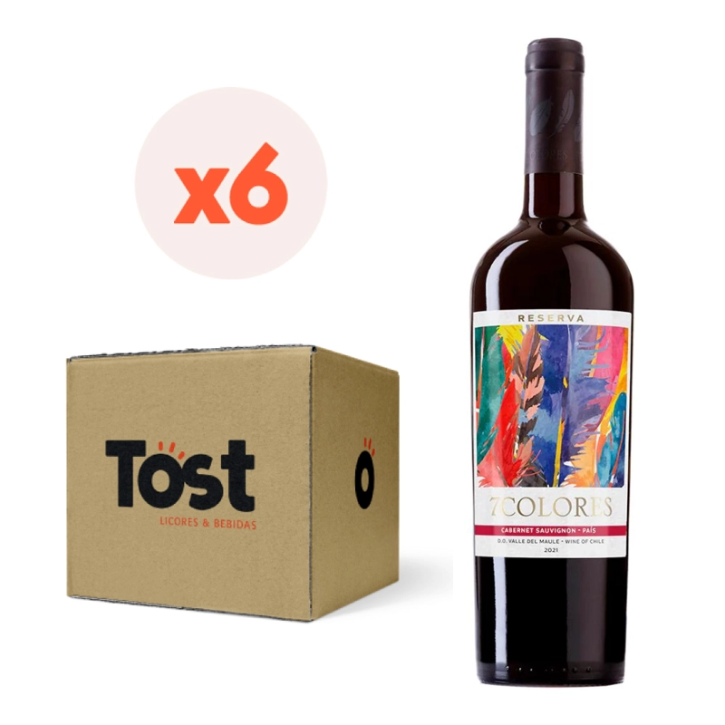 VINO TINTO ENSAMBLE CARMENERE CINSAULT 7 COLORES BOTELLA VIDRIO 750 CC 6 UN RESERVA 13° - 1