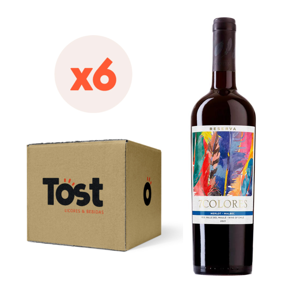 VINO TINTO ENSAMBLE MALBEC MERLOT 7 COLORES BOTELLA VIDRIO 750 CC 6 UN RESERVA 13° - 1