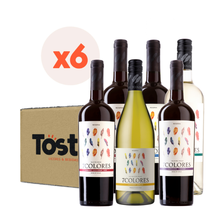 VINO TINTO ENSAMBLE 7 COLORES BOTELLA VIDRIO 6 UN MIX RESERVA CEPAS - 1