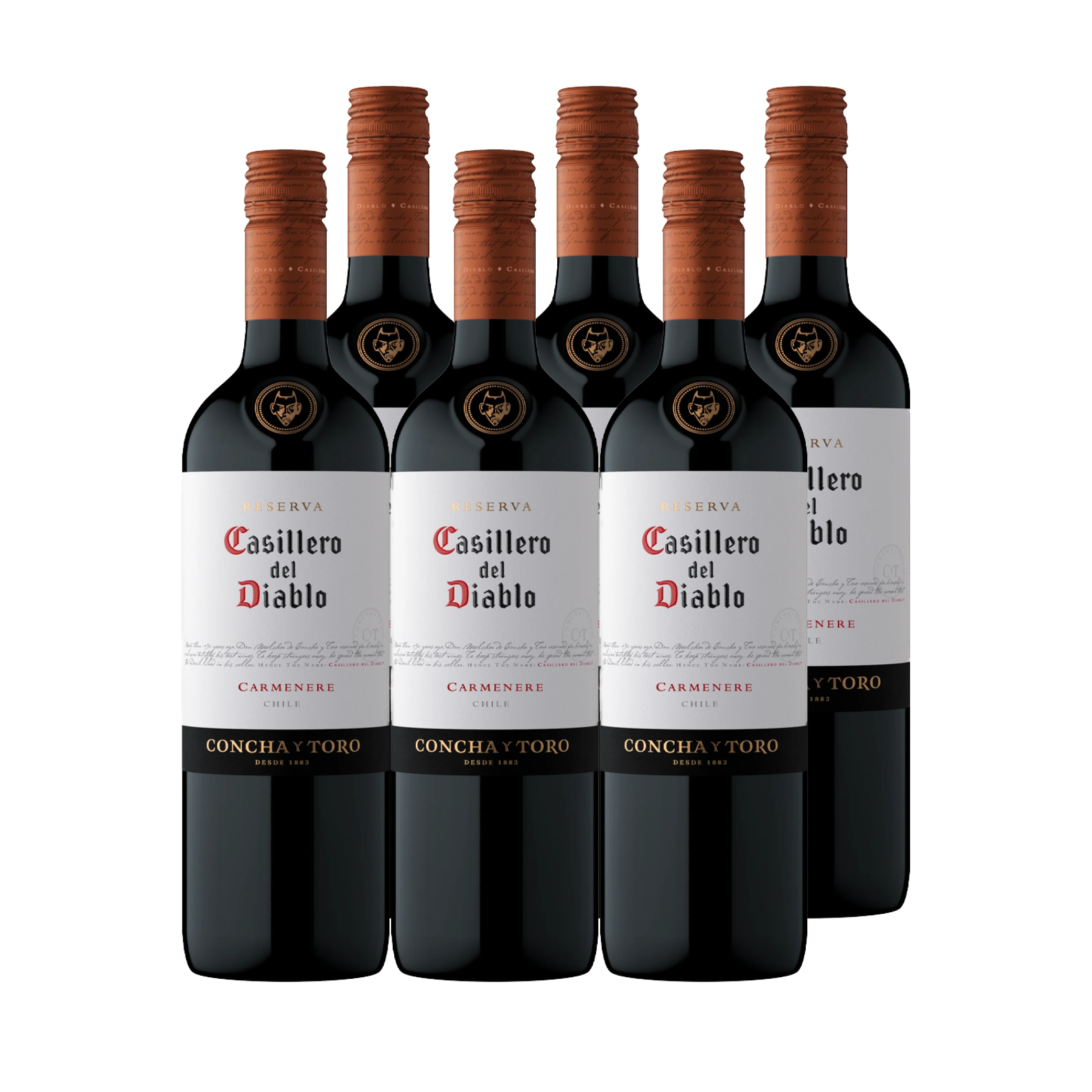 VINO TINTO CARMENERE CASILLERO DEL DIABLO BOTELLA VIDRIO 750 CC 6 UN RESERVA 13.5° - 1