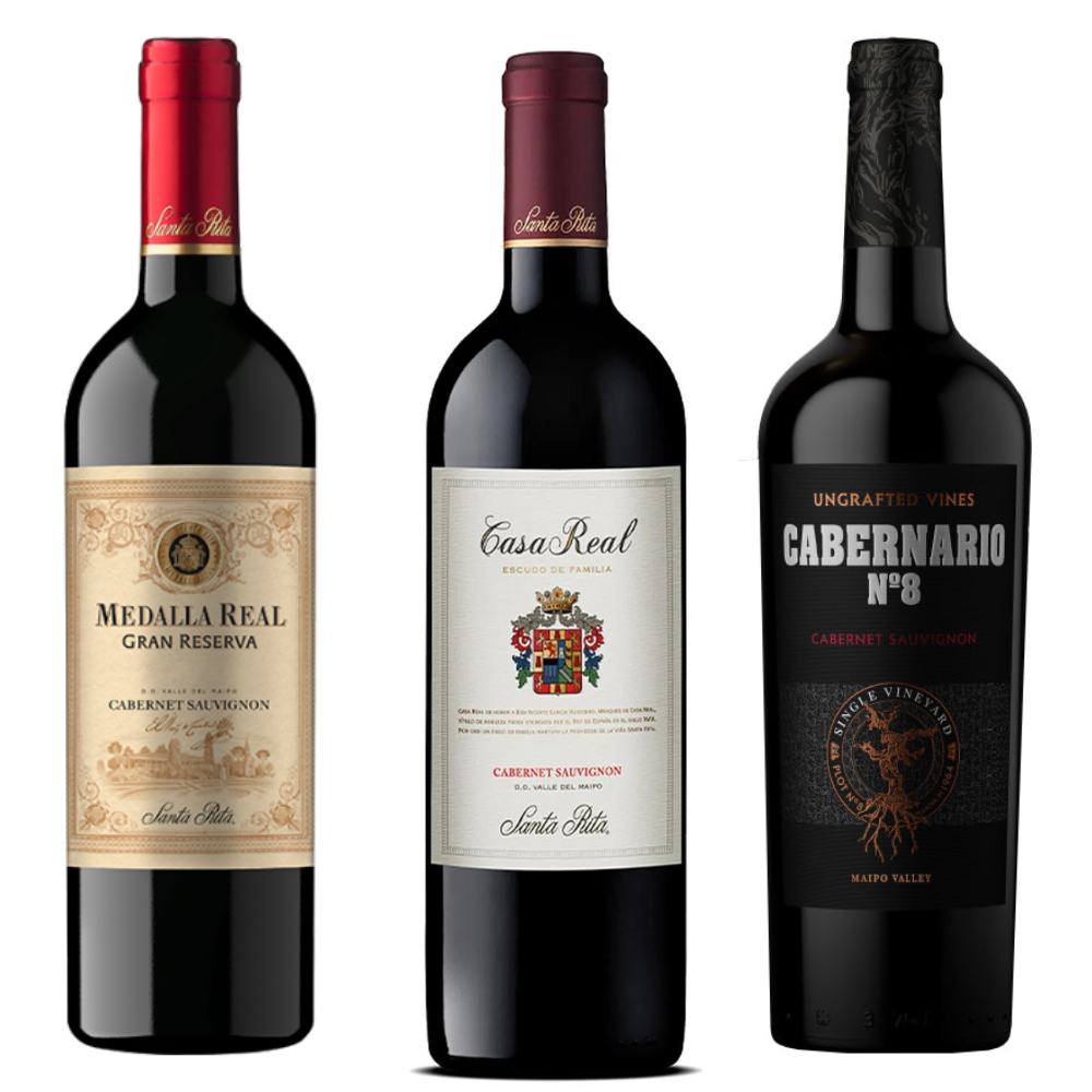 PACK VINOS 750CC GRAN RESERVA CABERNET SAUVIGNON SANTA RITA - 1