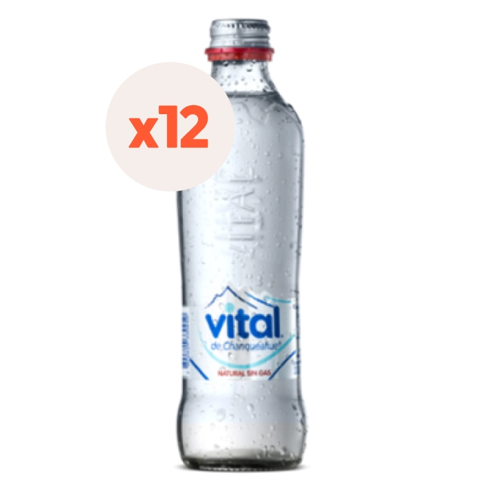 AGUA MINERAL VITAL BOTELLA VIDRIO 330 CC 12 UN SIN GAS - 2