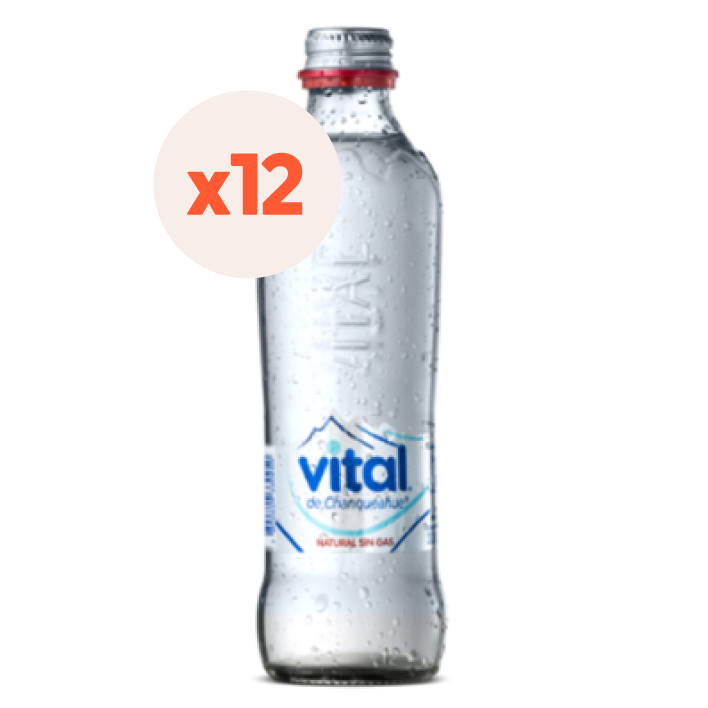 AGUA MINERAL VITAL BOTELLA VIDRIO 330 CC 12 UN SIN GAS - 2
