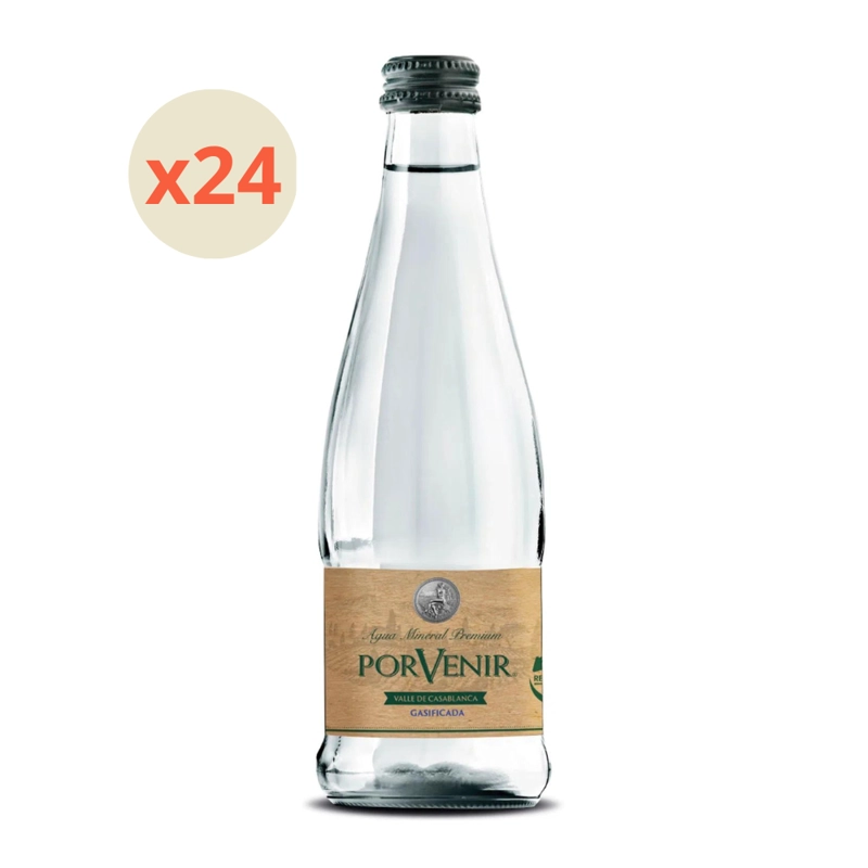 AGUA MINERAL PORVENIR BOTELLA VIDRIO 330 CC 24 UN GAS - 2