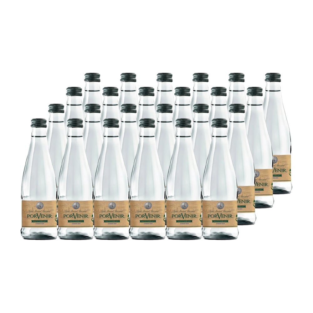 AGUA MINERAL PORVENIR BOTELLA VIDRIO 330 CC 24 UN SIN GAS - 1