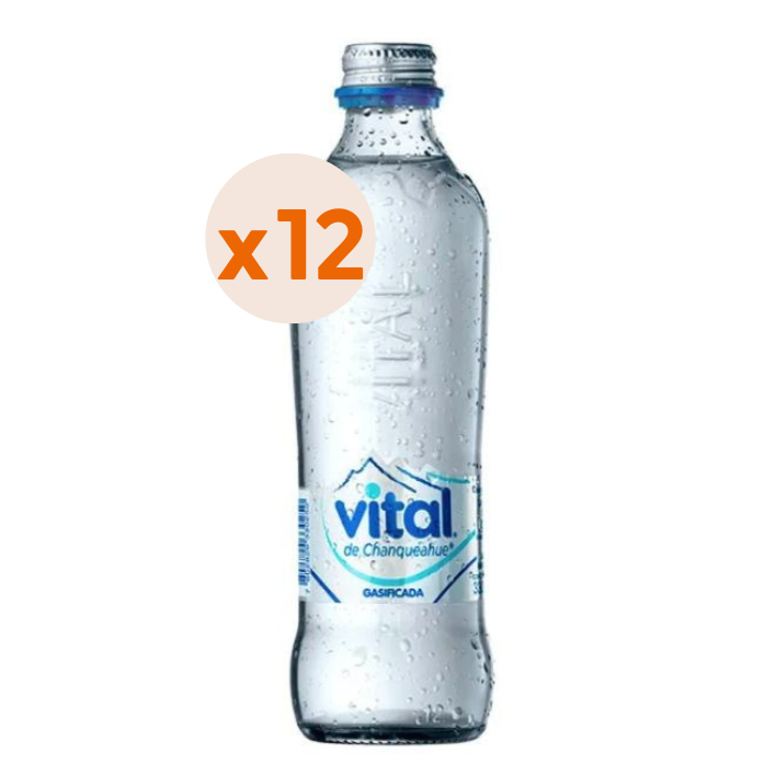 AGUA MINERAL VITAL BOTELLA VIDRIO 330 CC 12 UN GAS - 2