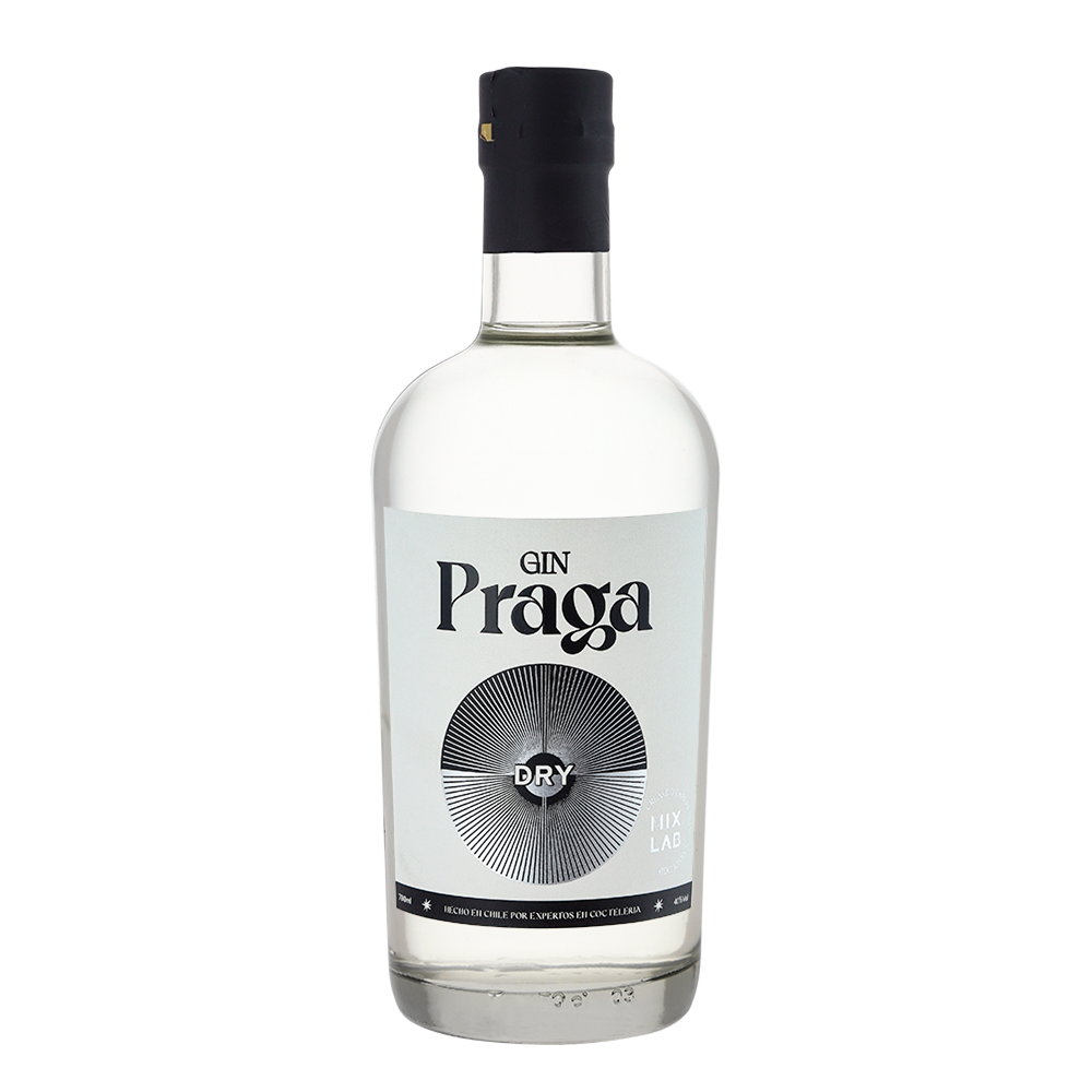 GIN BOTELLA VIDRIO 700 CC PRAGA DRY 38° - 1
