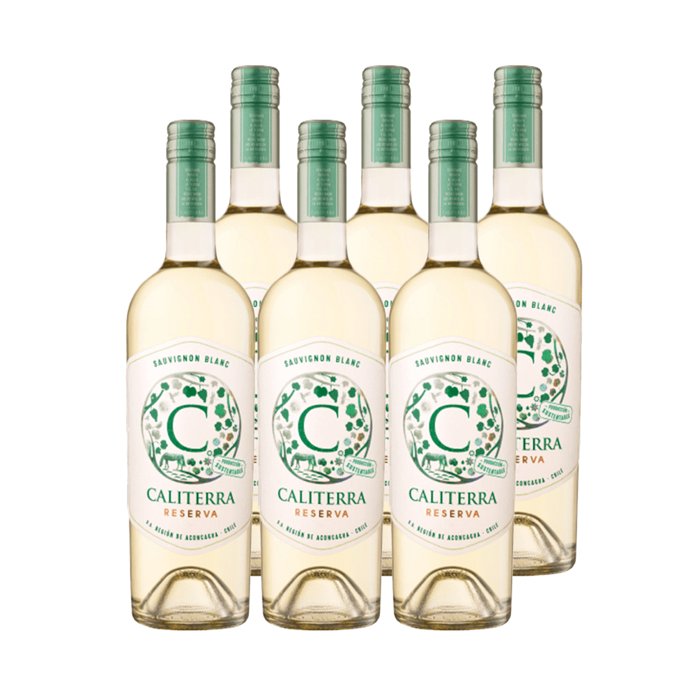 VINO BLANCO SAUVIGNON BLANC CALITERRA BOTELLA VIDRIO 750 CC 6 UN RESERVA - 1
