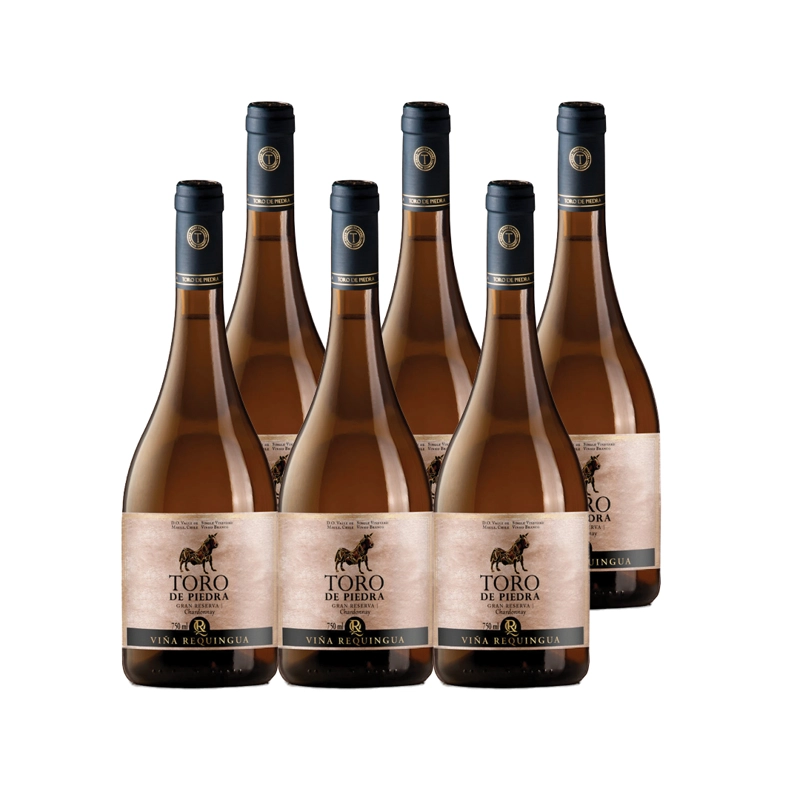 6X VINO TORO DE PIEDRA GRAN RESERVA CHARDONNAY 750CC - 1