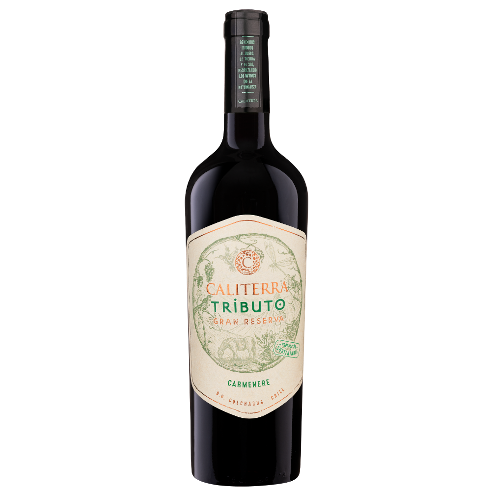 VINO TINTO SYRAH CALITERRA BOTELLA VIDRIO 750 CC TRIBUTO - 1