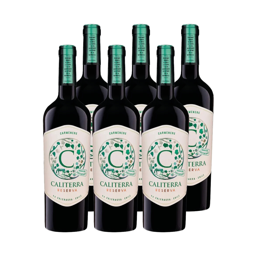 VINO TINTO CARMENERE CALITERRA BOTELLA VIDRIO 750 CC 6 UN RESERVA - 1