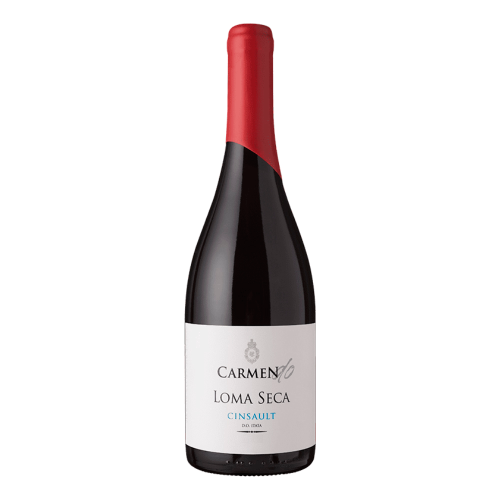 VINO TINTO CINSAULT CARMEN BOTELLA VIDRIO 750 CC D.O LOMA SECA 13.5° - 1