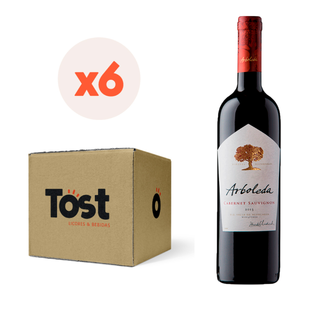 VINO TINTO CABERNET SAUVIGNON ARBOLEDA BOTELLA VIDRIO 750 CC 6 UN 13.5° - 1