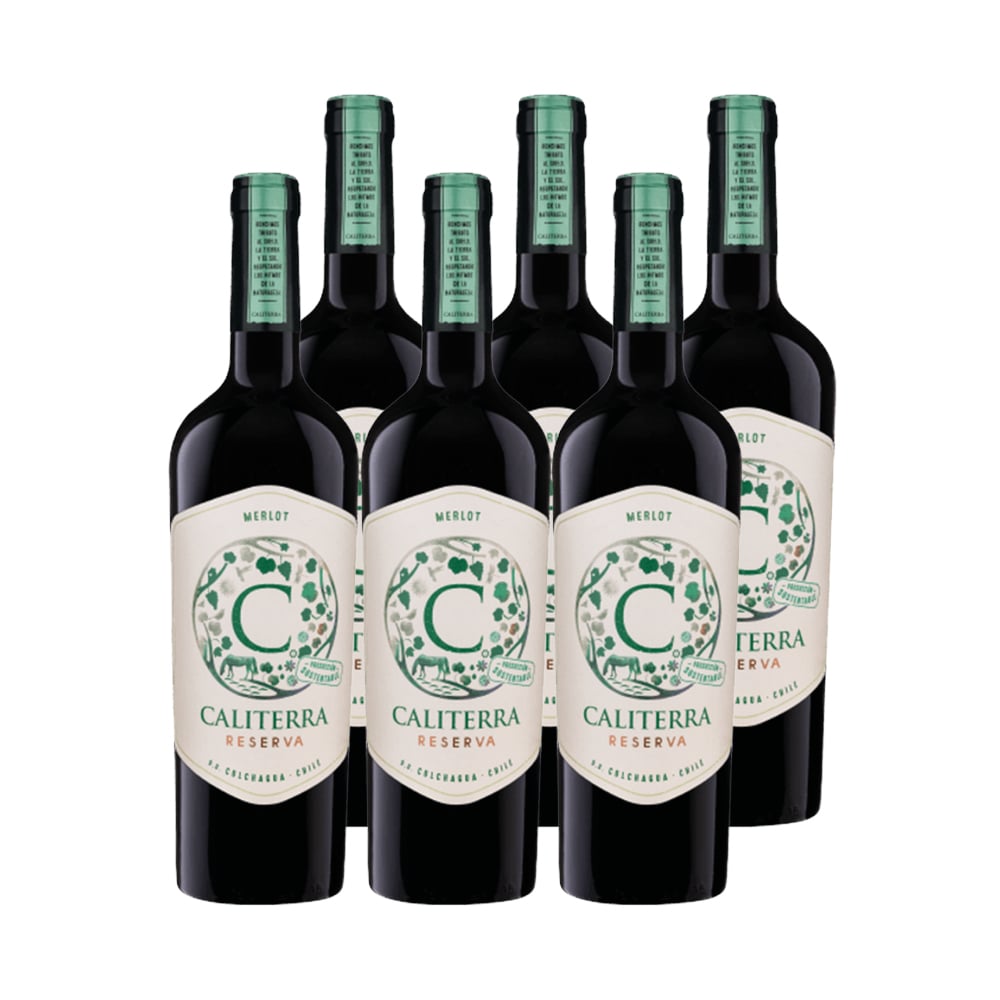 VINO TINTO MERLOT CALITERRA BOTELLA VIDRIO 750 CC 6 UN RESERVA - 1
