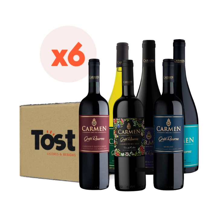 VINO TINTO ENSAMBLE CARMEN BOTELLA VIDRIO 750 CC 6 UN MIX GRAN RESERVA - 1