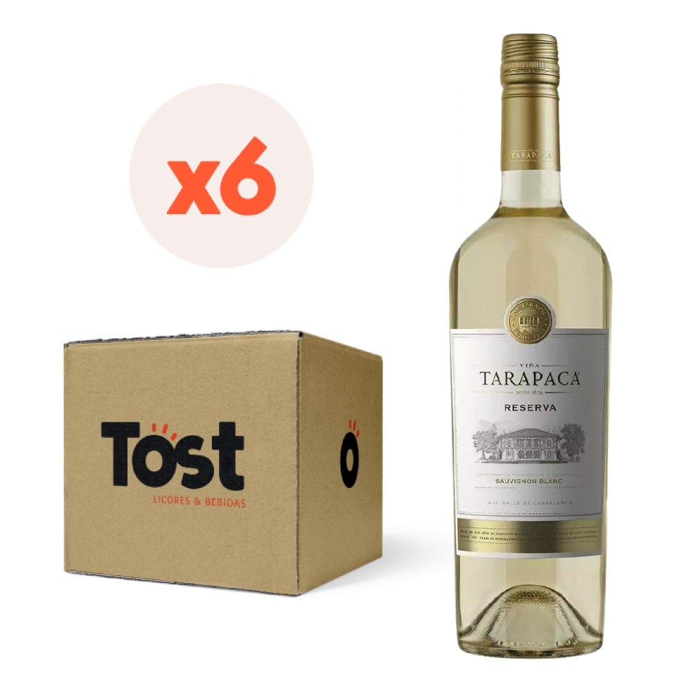 VINO TINTO CARMENERE TARAPACA BOTELLA VIDRIO 750 CC 6 UN TARAPACÁ RESERVA - 1