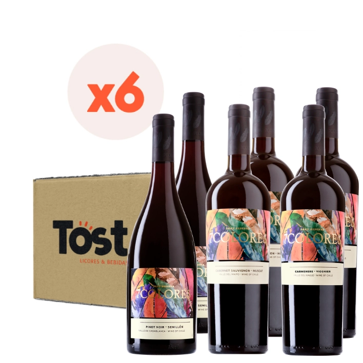 VINO TINTO ENSAMBLE 7 COLORES BOTELLA VIDRIO 750 CC 6 UN MIX GRAN RESERVA - 1