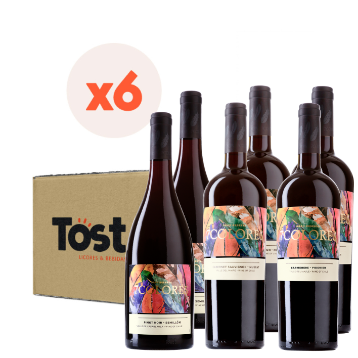 VINO TINTO ENSAMBLE 7 COLORES BOTELLA VIDRIO 750 CC 6 UN MIX GRAN RESERVA - 1