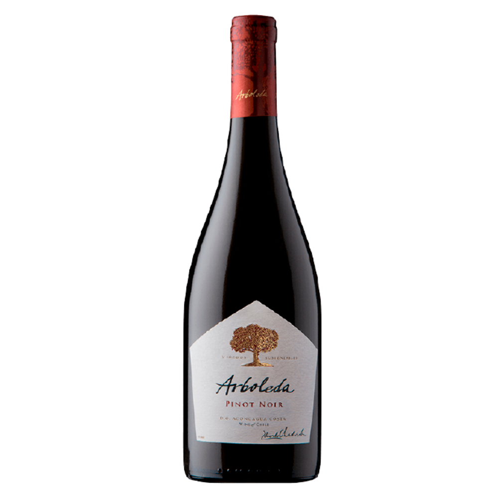 VINO TINTO PINOT NOIR ARBOLEDA BOTELLA VIDRIO 750 CC 14° - 1