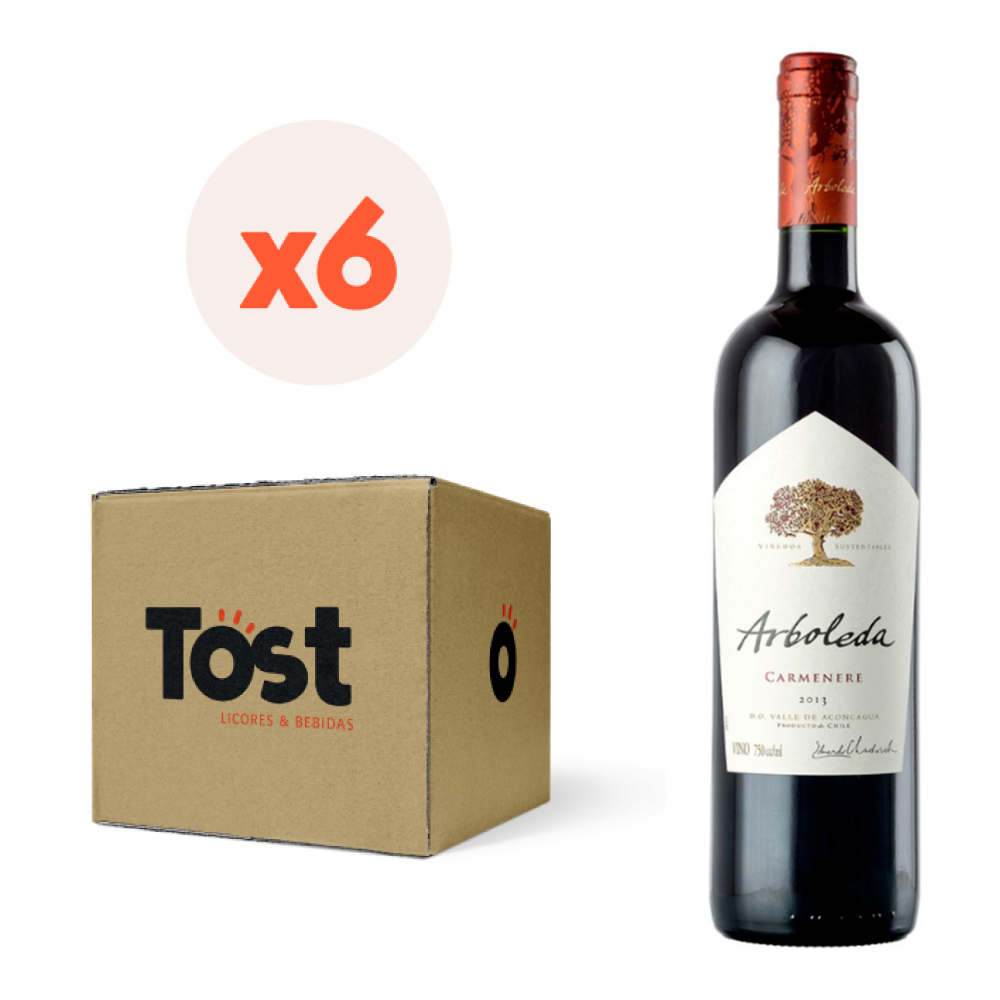 VINO TINTO CARMENERE ARBOLEDA BOTELLA VIDRIO 750 CC 6 UN 13.5° - 1