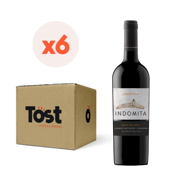 VINO TINTO CABERNET SAUVIGNON INDÓMITA BOTELLA VIDRIO 750 CC 6 UN GRAN RESERVA - 1