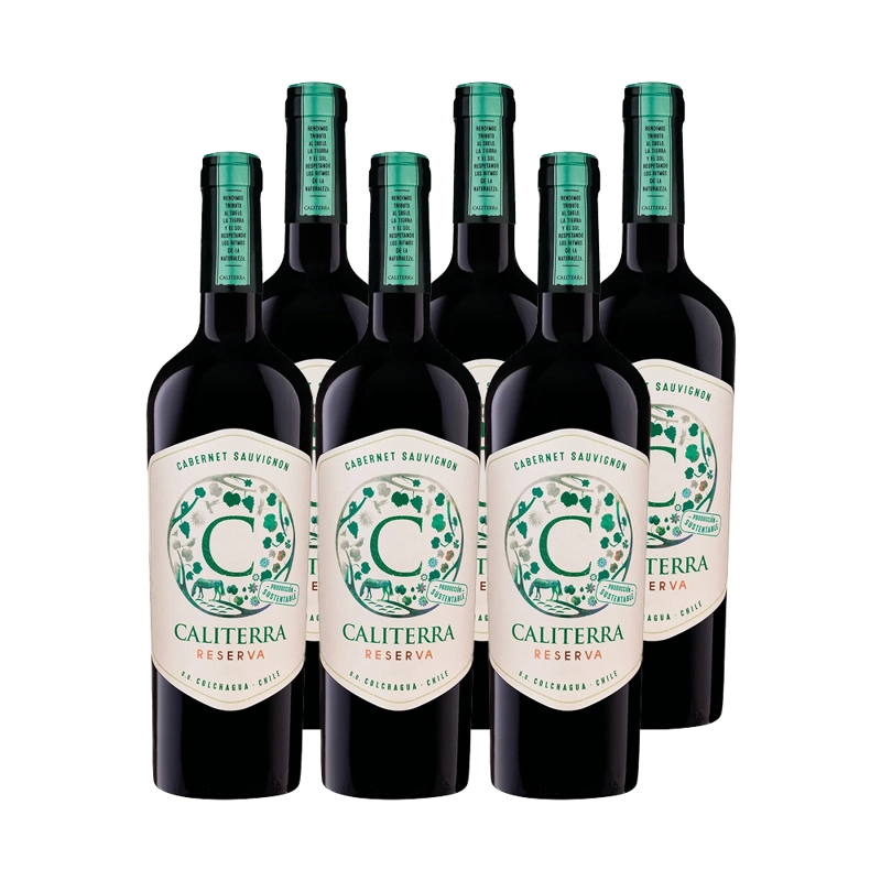 VINO TINTO CABERNET SAUVIGNON CALITERRA BOTELLA VIDRIO 750 CC 6 UN RESERVA - 1