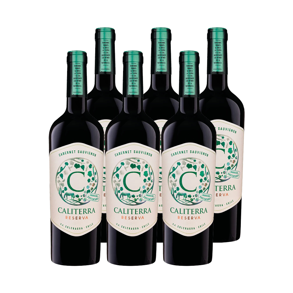VINO TINTO CABERNET SAUVIGNON CALITERRA BOTELLA VIDRIO 750 CC 6 UN RESERVA - 1