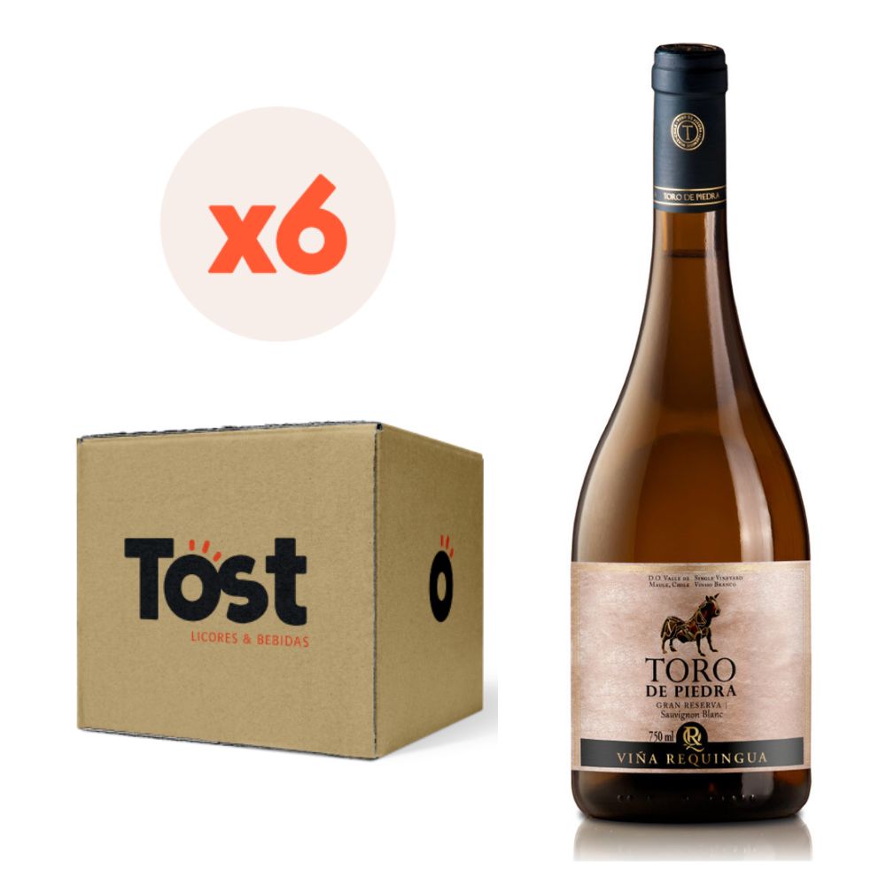 6X VINO TORO DE PIEDRA GRAN RESERVA SAUVIGNON BLANC 750CC - 3