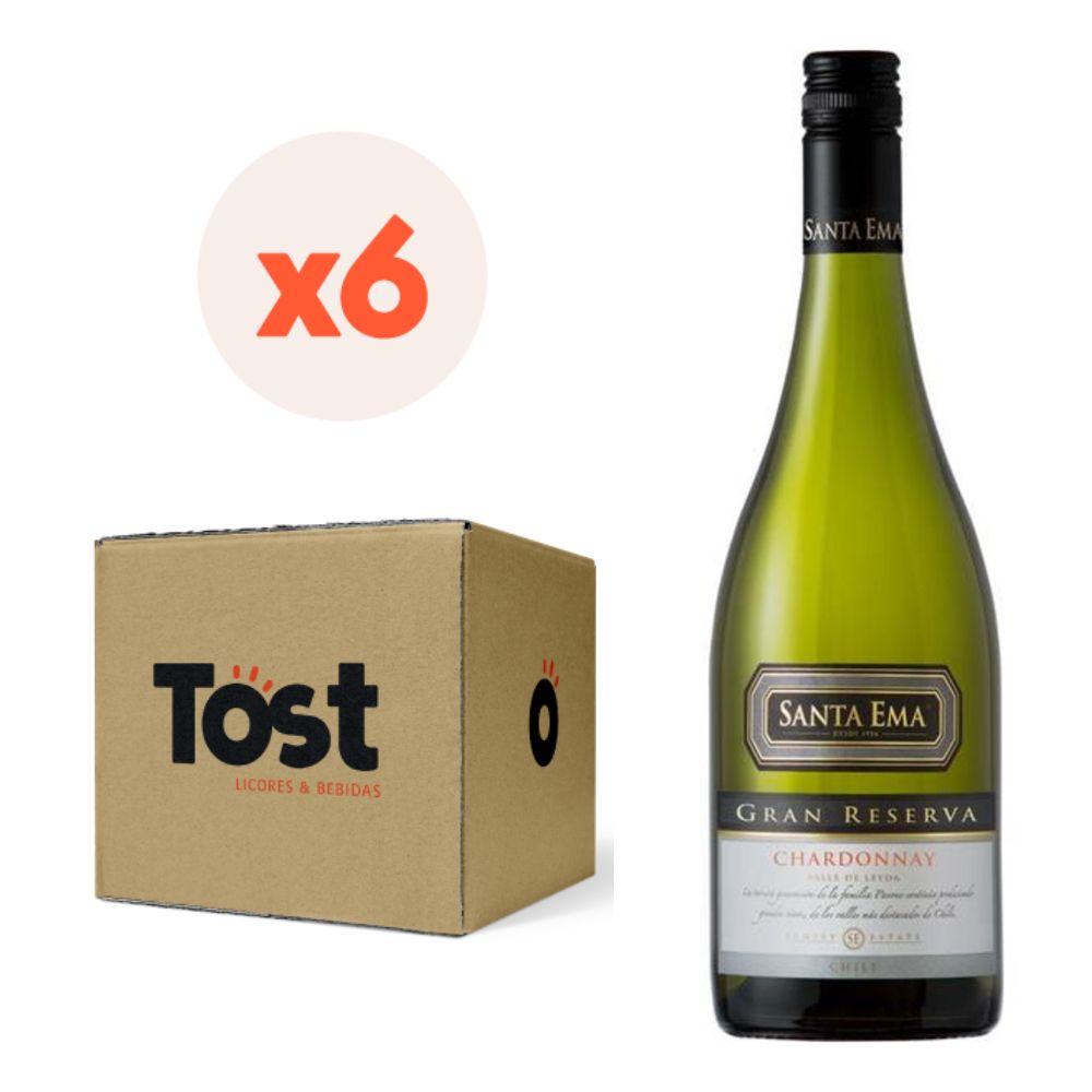 6X VINO SANTA EMA GRAN RESERVA CHARDONNAY - 1