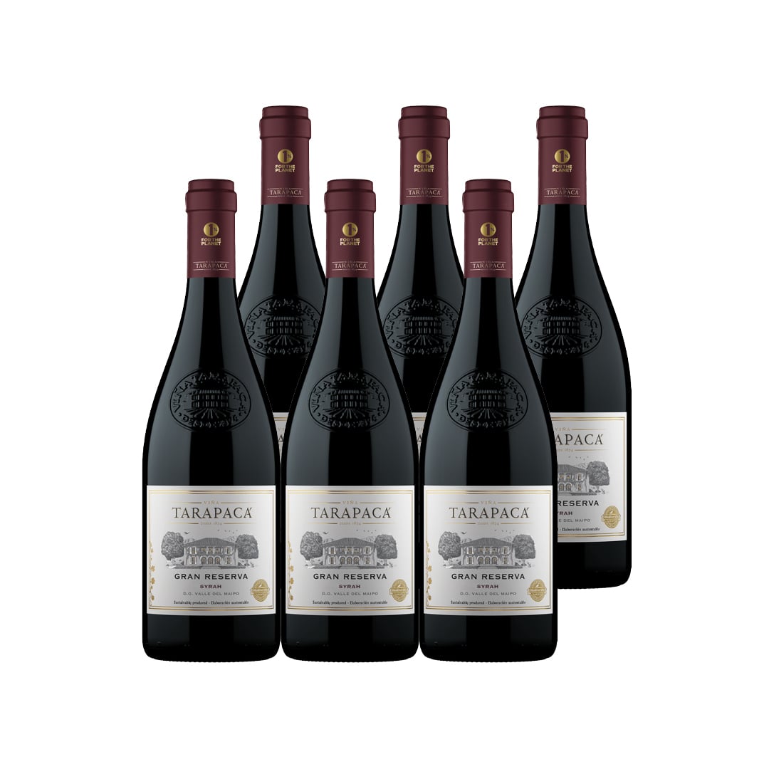 VINO TINTO SYRAH TARAPACA BOTELLA VIDRIO 750 CC 6 UN TARAPACÁ GRAN RESERVA - 1