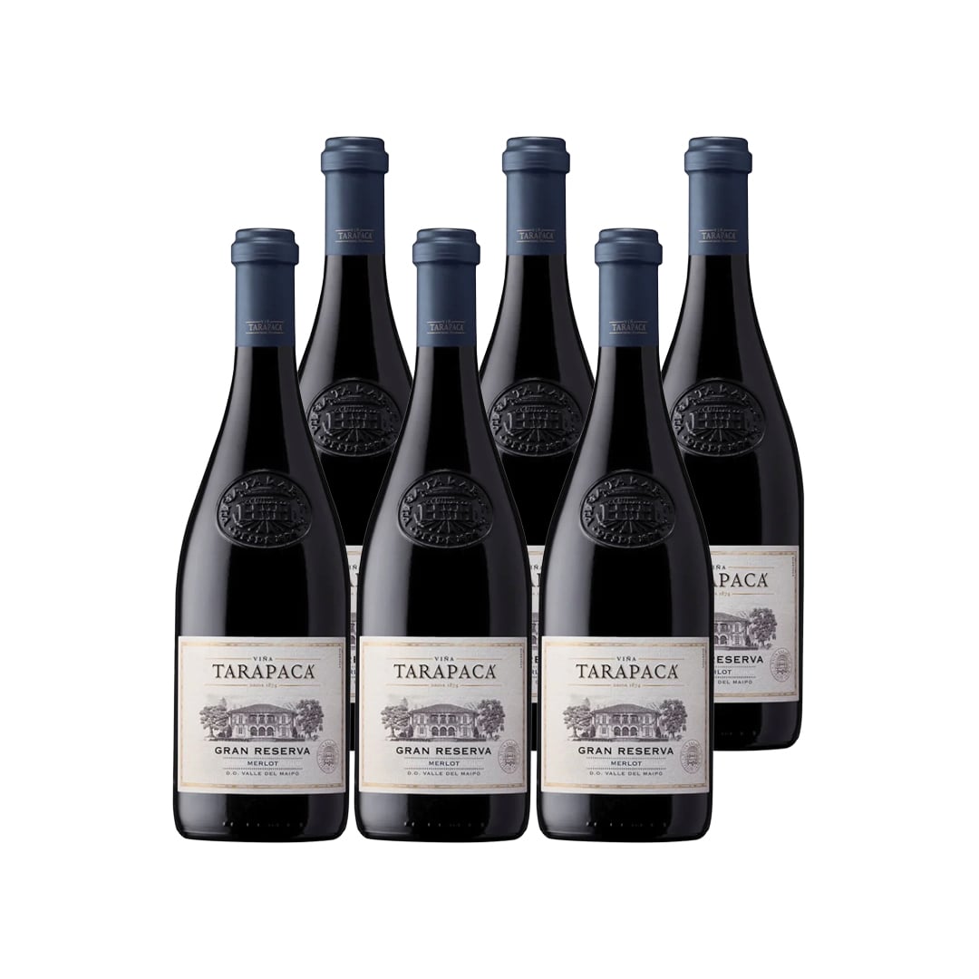 VINO TINTO MERLOT TARAPACA BOTELLA VIDRIO 750 CC 6 UN TARAPACÁ GRAN RESERVA - 1