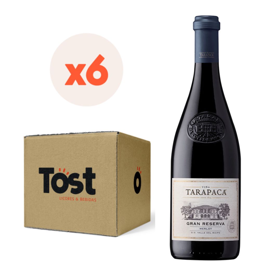 VINO TINTO MERLOT TARAPACA BOTELLA VIDRIO 750 CC 6 UN TARAPACÁ GRAN RESERVA - 3