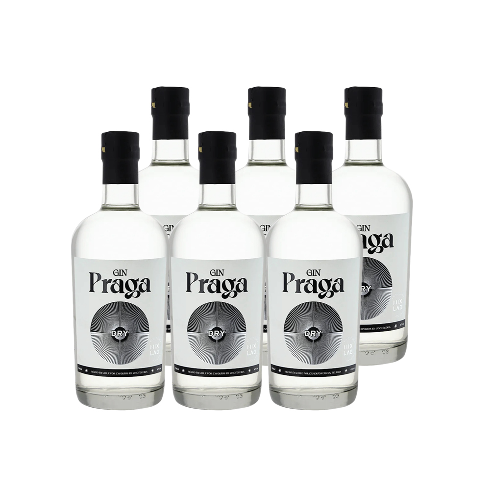 6X GIN PRAGA DRY 38° 700CC - 1