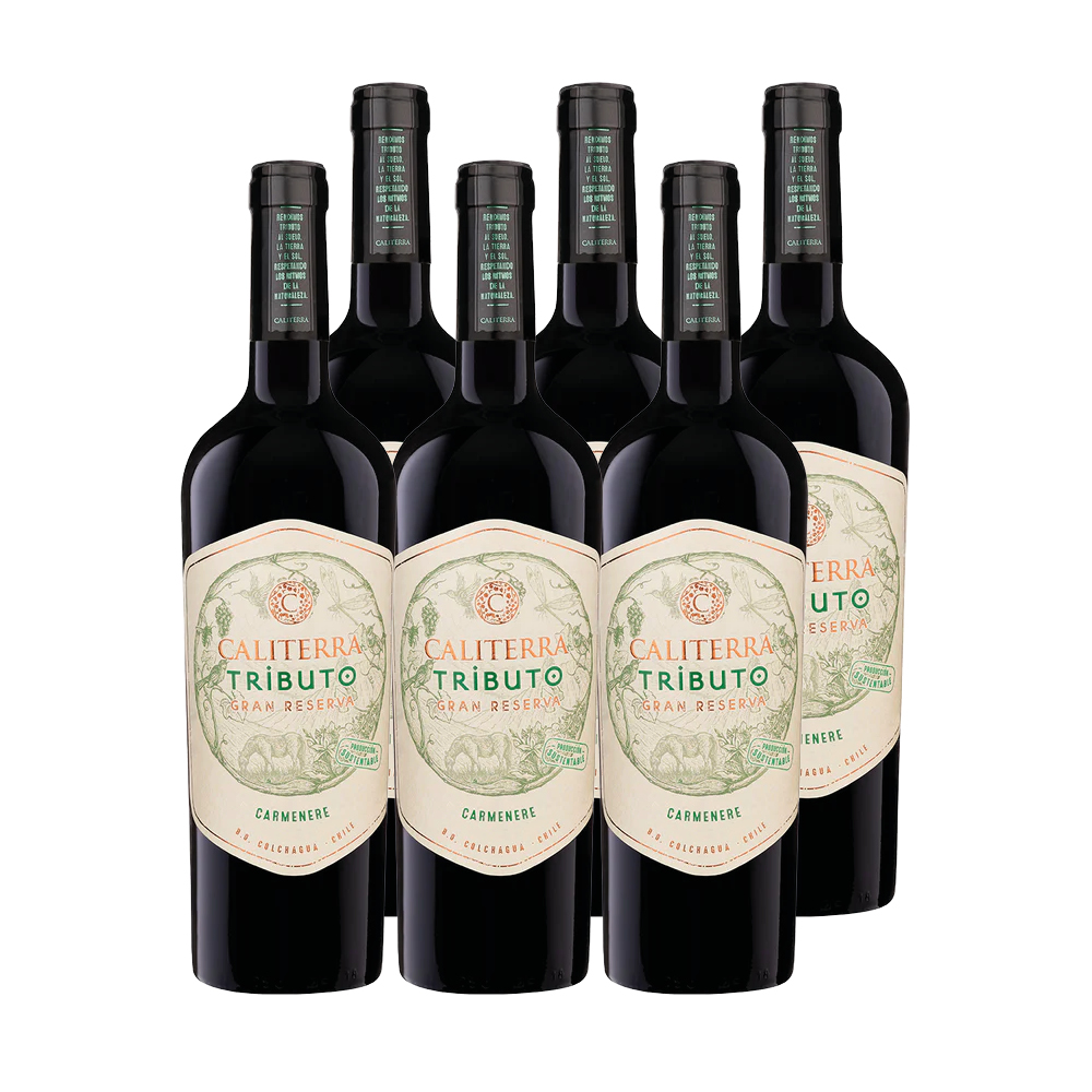 6X VINO CALITERRA TRIBUTO GRAN RESERVA CARMENERE 750CC - 1