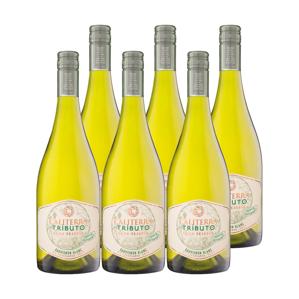 6X VINO CALITERRA TRIBUTO GRAN RESERVA SAUVIGNON BLANC 750CC - 1