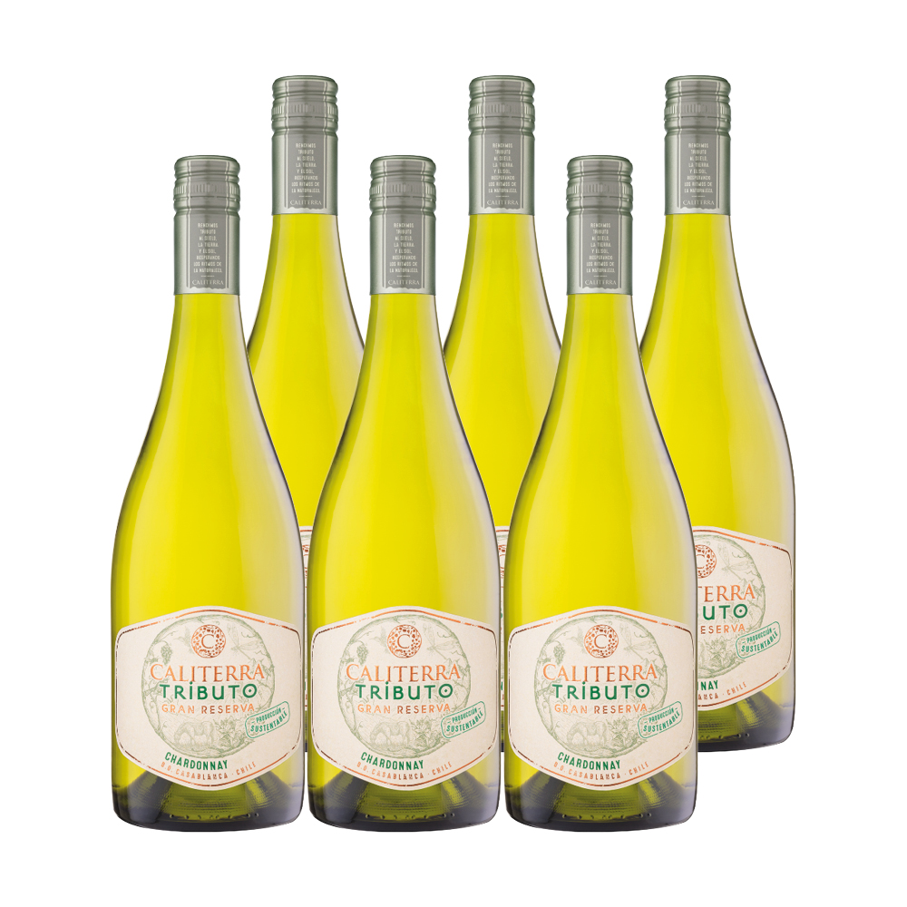 6X VINO CALITERRA TRIBUTO GRAN RESERVA CHARDONNAY 750CC - 1