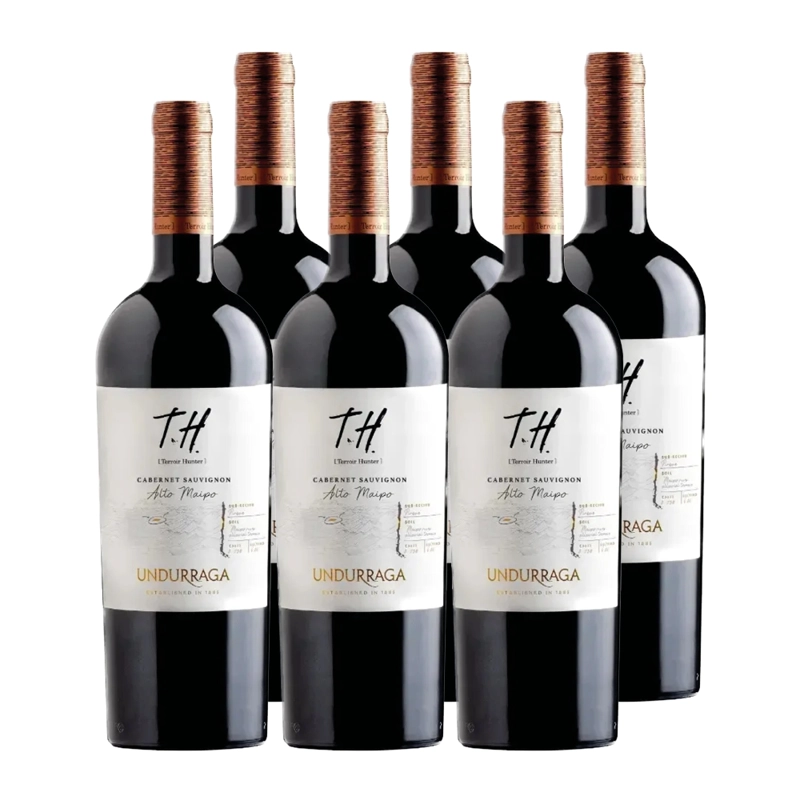 6X VINO UNDURRAGA TH CABERNET SAUVIGNON 750CC - 1