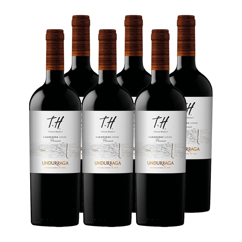 6X VINO UNDURRAGA TH CARMENERE 750CC - 1