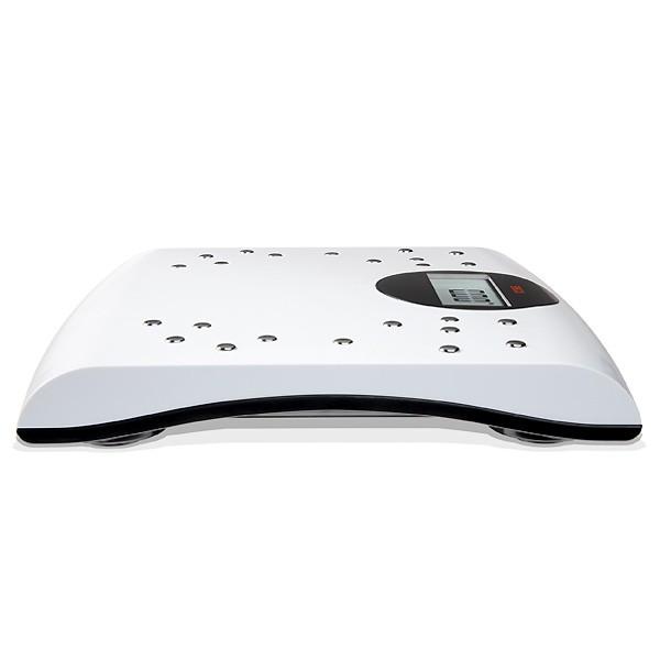 BALANZA DIGITAL MEDICIÓN MODELO BMI 804 SECA - 2