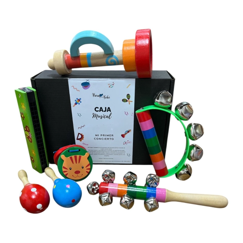 SET INSTRUMENTOS MUSICALES MONTESSORI NIÑO - 1