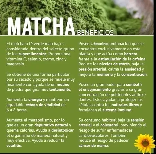 INFUSION TE VERDE CAJA 2 UN 50 BOLSITAS MATCHA - 5