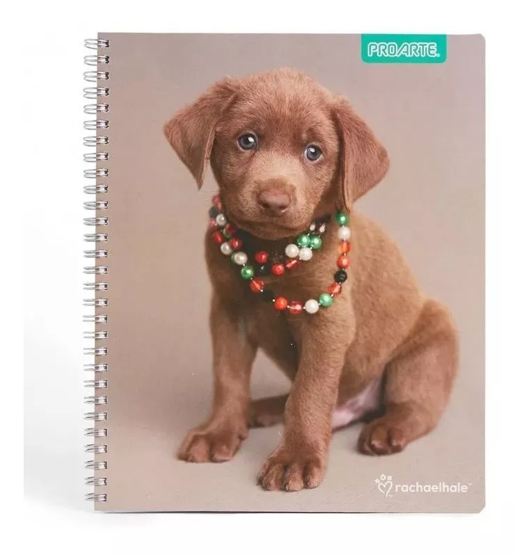PACK 10 CUADERNO UNIV. ANIMALES ADORABLES MATEM 7 MM 100 HJS - 1