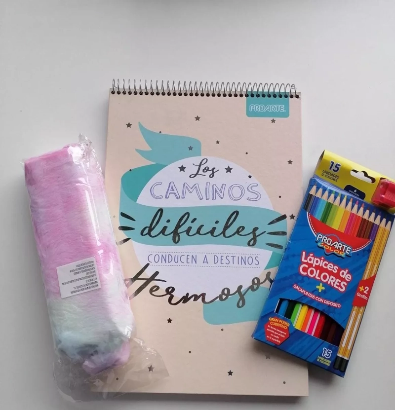 CROQUERA DISTINTOS DISEÑOS + 12 COLORES + ESTUCHE VARIEDAD - 1